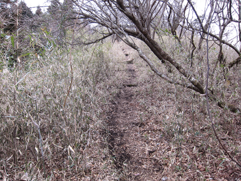 20190214hike (79)